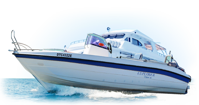 防封号外呼软件